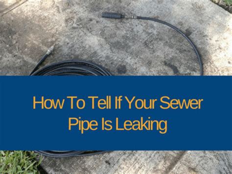 sewer leak in yard|How To Tell If A Sewer Pipe Is Leaking (Here Are 6。